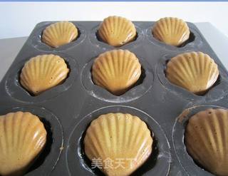 抹茶贝壳小蛋糕的做法步骤:10