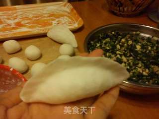 浮水拐(水饺)的做法步骤:10