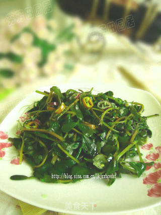 纯天然绿色时尚蔬菜——蒜蓉马齿苋的做法步骤:4