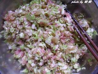 榨菜包菜肉馅饺子的做法步骤:4