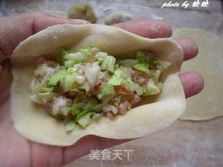 榨菜包菜肉馅饺子的做法步骤:6