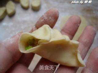 榨菜包菜肉馅饺子的做法步骤:7