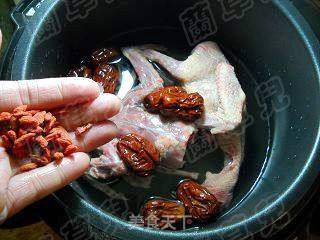 灵芝杞枣炖乳鸽的做法步骤:5