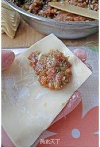 鲜美的大个馄饨。【芹菜猪肉馅馄饨】的做法步骤:7