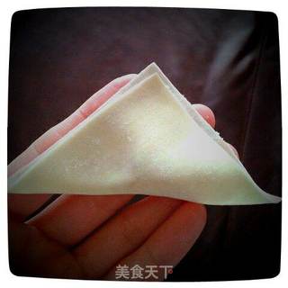 小混沌(包与做法)的做法步骤：5