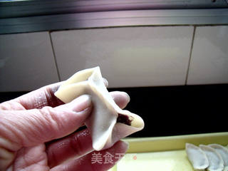紫甘蓝菜肉水饺的做法步骤:7