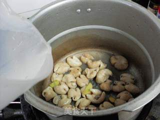 青菜煲肥肠的做法步骤:9