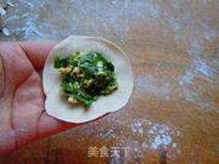 适合新手的韭菜鸡蛋素水饺的做法步骤:20
