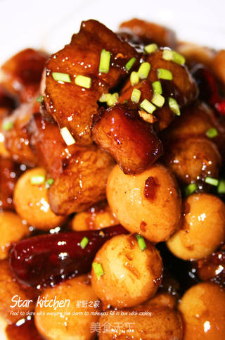 【让你吃得爱不释手的红烧肉】可乐飞天红烧肉的做法步骤:16