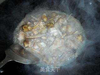 慈菇焖鸡翅的做法步骤：8