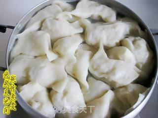 白菜猪肉馅饺子 我的营养鲜香秘籍的做法步骤:11