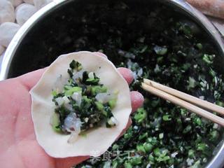 口味清淡的油菜虾仁水饺的做法步骤:6
