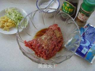 吃肉不见肉--牛肉麻饼的做法步骤：2