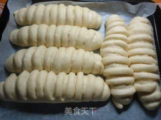 汤种毛毛虫面包的做法步骤:16