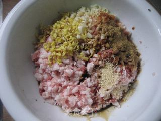 春天田野的味道——野香芥菜肉包的做法步骤:3