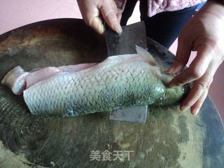 【水煮鱼】教如何片鱼片的做法步骤:2