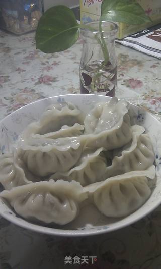 韭菜荸荠猪肉水饺的做法步骤:9