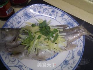 清蒸鲈鱼的做法步骤:5