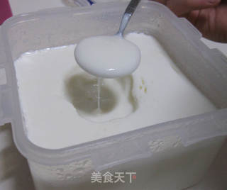 懒人版自制酸奶的做法步骤:6