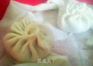 萝卜粉丝肉包子的做法步骤:9