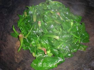 凉拌菠菜的做法步骤:7
