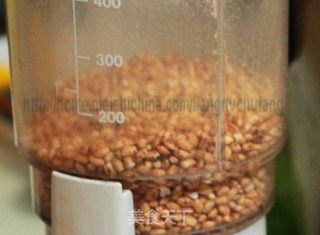粉蒸猪肉(粉蒸配料做法)的做法步骤:7