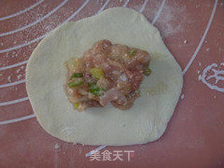 简单的步骤造就好吃的美食——【家庭自制】猪肉大葱馅锅贴的做法步骤：12