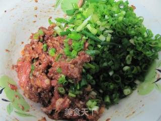 鲜肉小葱锅贴的做法步骤:4