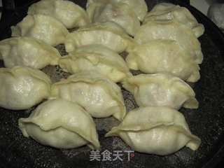 鲜肉小葱锅贴的做法步骤:13