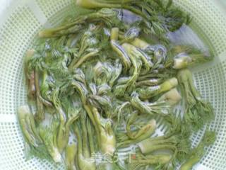 红油拌山野菜的做法步骤:4