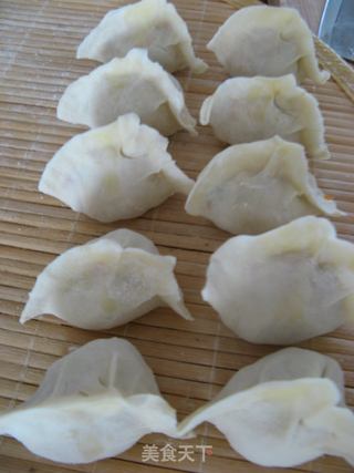 胡萝卜素馅饺子的做法步骤:10
