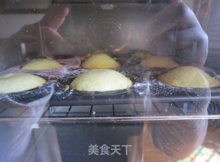 柠香玛德琳的做法步骤:13