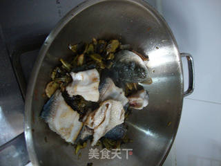 草头酸汤鱼的做法步骤:2