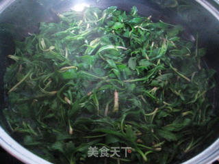 凉拌马兰头的做法步骤:2