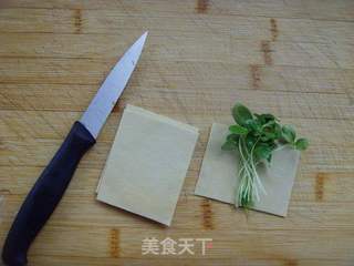 香椿苗豆卷的做法步骤:4