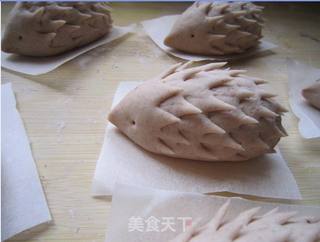 小刺猬豆沙包的做法步骤:14