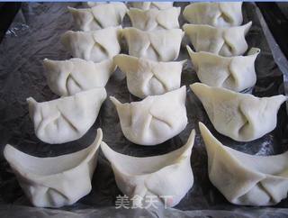 韭菜鸡蛋煎饺的做法步骤:8