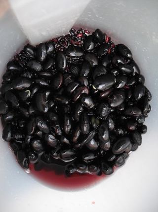 黑三类豆浆(黑豆豆浆)的做法步骤:2