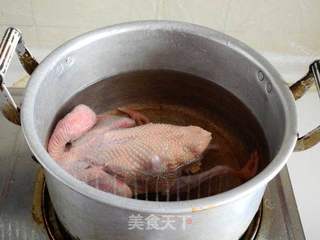 鸽子汤的做法步骤:2