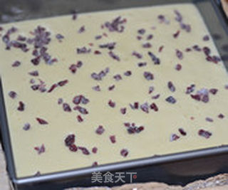 蔓越莓酸奶蛋糕的做法步骤:8