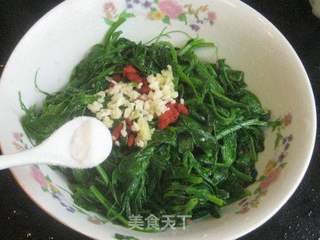 蒜泥凉拌豌豆苗的做法步骤:5