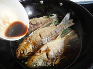 葱熇鲫鱼的做法步骤：7