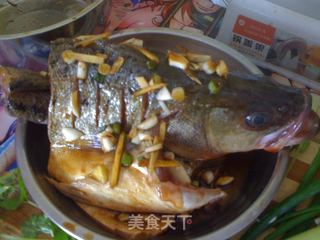 清蒸鲈鱼的做法步骤：4