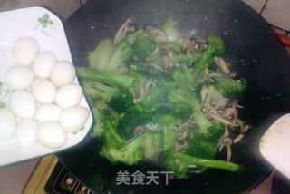 西兰花蟹味菇炖鹌鹑蛋的做法步骤:7