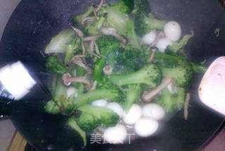 西兰花蟹味菇炖鹌鹑蛋的做法步骤:9