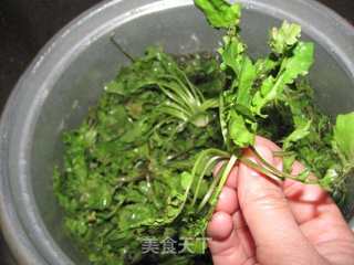 春天的美味----荠菜素饺子的做法步骤:2