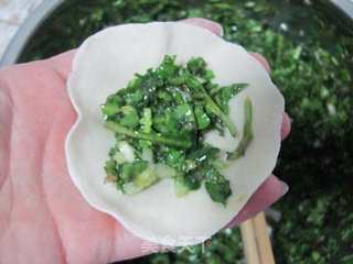 春天的美味----荠菜素饺子的做法步骤:6