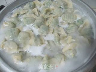 春天的美味----荠菜素饺子的做法步骤:9