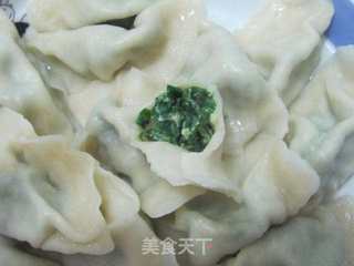 春天的美味----荠菜素饺子的做法步骤:10