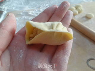 三色双菇鲈鱼饺子的做法步骤:11